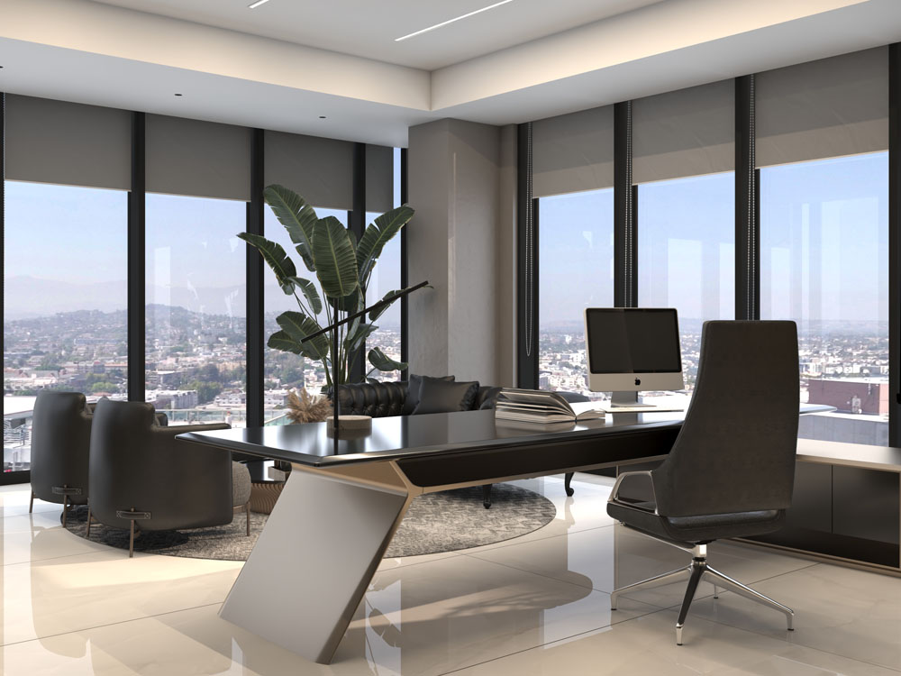 Executive Corporate Office Design