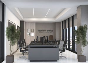 Executive Corporate Office Design